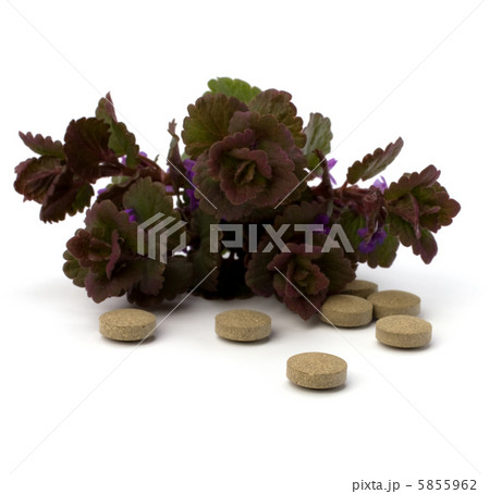 herbal medicine isolated on white background herbal medicine isolated on white background 5855962