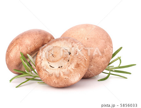 Brown champignon mushroom and rosemary leaves 5856033