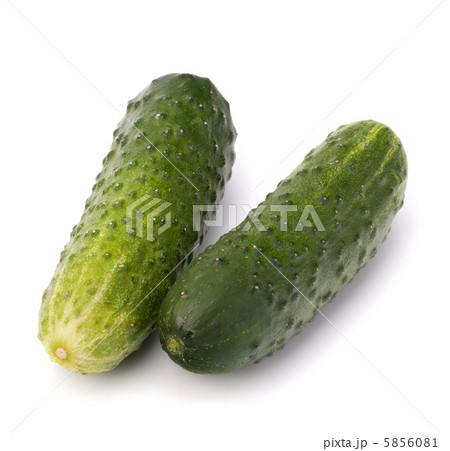 Cucumber vegetable 5856081