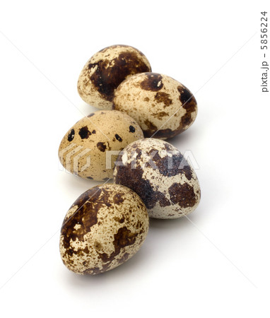 quail eggs 5856224