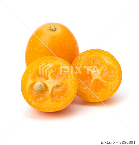 Cumquat or kumquat 5856891
