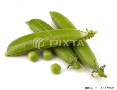 Fresh green pea pod Fresh green pea pod 5857606