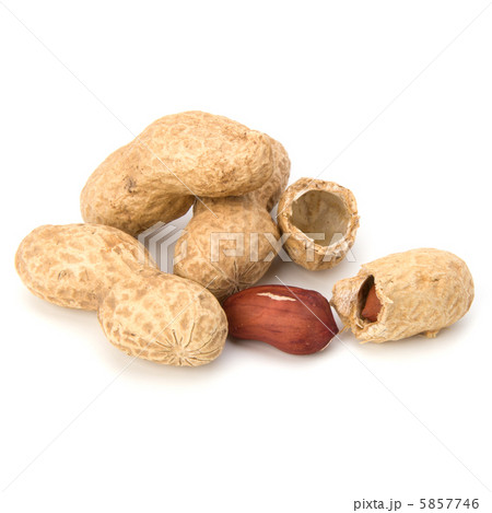 Peanut Peanut 5857746