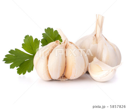 Garlic bulb and parsley leaf 5857826