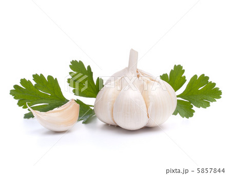 garlic bulb garlic bulb 5857844