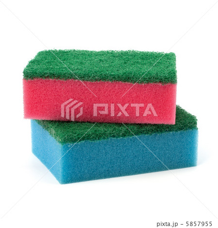 sponges sponges 5857955