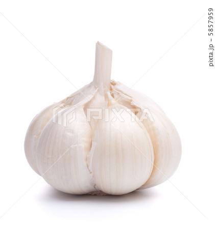 garlic bulb garlic bulb 5857959