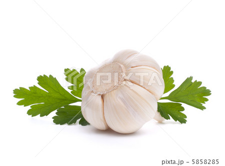 garlic bulb 5858285