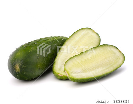 Cucumber vegetable 5858332