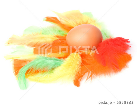 Egg and feather isolated on white background. Easter decor. 5858333