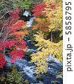 北海道阿寒の滝見橋から見た紅葉 5858795