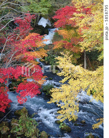 北海道阿寒の滝見橋から見た紅葉 5858795