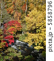 北海道阿寒の滝見橋から見た紅葉 5858796