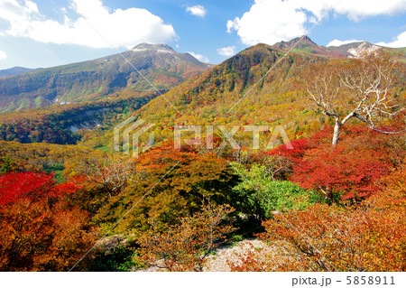 茶臼展望台からの秋景色 5858911