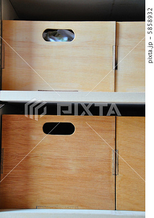 木製衣装ケース 5858932