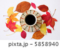落ち葉とコーヒー 5858940