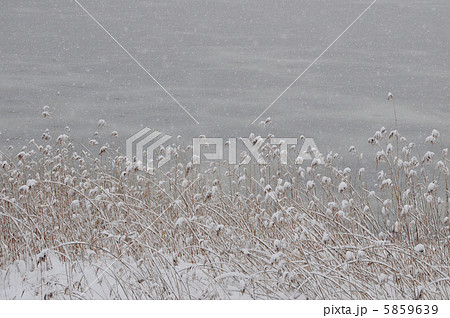 水辺の雪景色 5859639