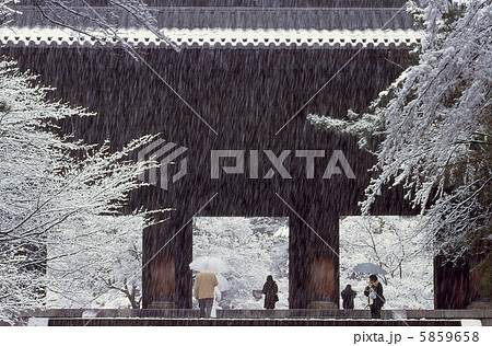 京都　南禅寺の雪景色 5859658