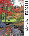 紅葉 5859838