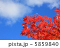 紅葉と空 5859840