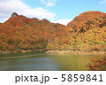 紅葉 5859841