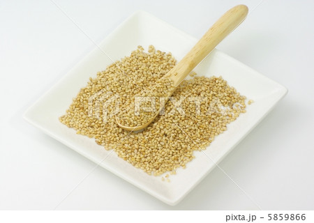 胡麻 胡麻 5859866