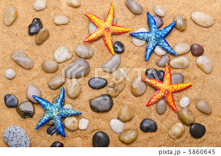 Sea stars isolated on the white 5860645