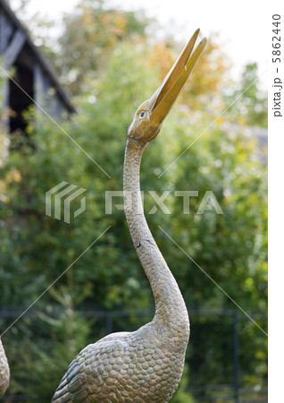 bird 5862440