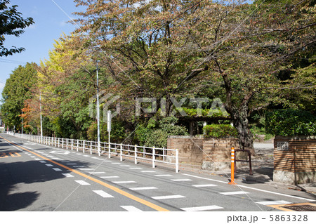 田園調布の公園 田園調布の公園 5863328