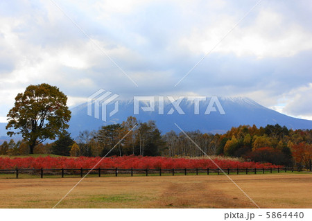木曽馬の里から望む御嶽山　秋 5864440
