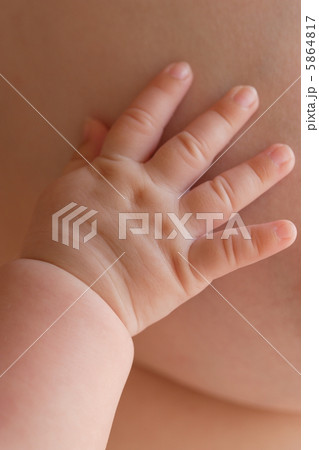 可愛い赤ちゃんの手と母親の写真素材