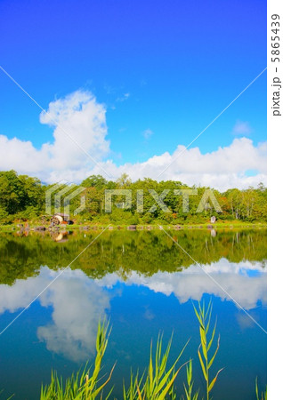 ある朝の青空 5865439