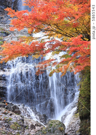 秋の唐沢の滝　 5865543