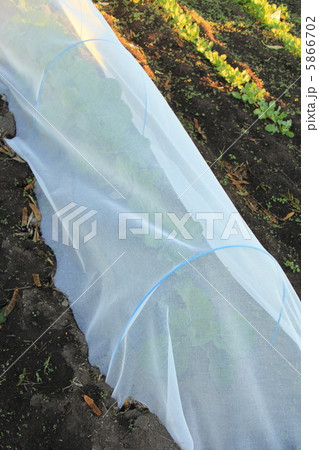防虫ネット 防虫ネット 5866702