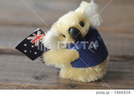 コアラ人形 オーストラリア土産 ぬいぐるみの写真素材 [5866926] - PIXTA