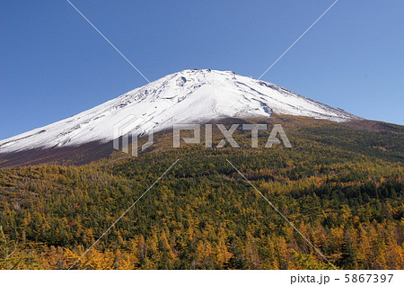 初冬 富士山 樹海 初冬 富士山 樹海 5867397