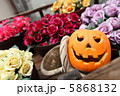 ハロウィン 5868132