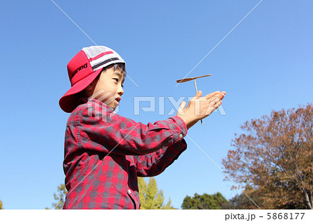 竹とんぼ 5868177