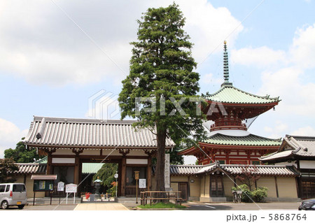 さいたま市中央区の円乗院 さいたま市中央区の円乗院 5868764