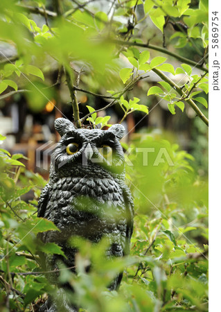 尾道イーハトーヴ梟の館 5869754