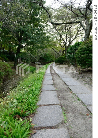 哲学の道 5870423