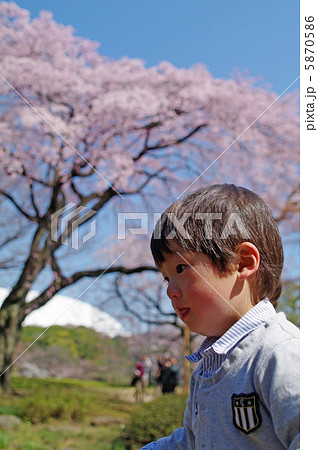 子供と桜 子供と桜 5870586