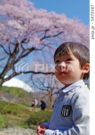 子供と桜 子供と桜 5870587