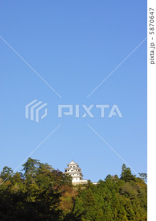 郡上八幡城 郡上八幡城 5870647