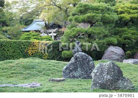 城南離宮の庭 5870901