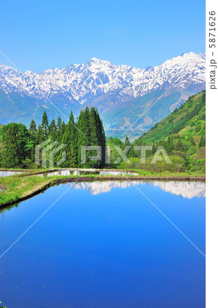 アルプスと棚田 アルプスと棚田 5871626