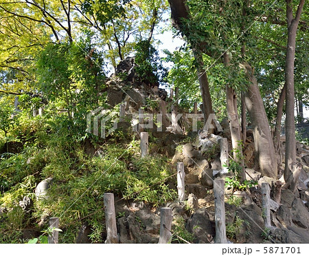 鳩森八幡神社にある千駄ヶ谷の富士塚（東京都渋谷区） 5871701