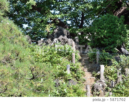 鳩森神社にある千駄ヶ谷の富士塚（東京都渋谷区） 5871702