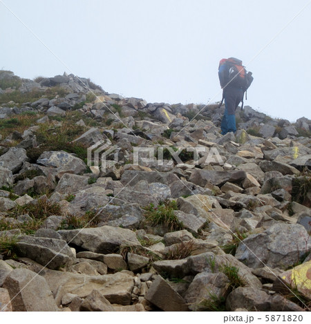 熊見曽根の尾根道 熊見曽根の尾根道 5871820