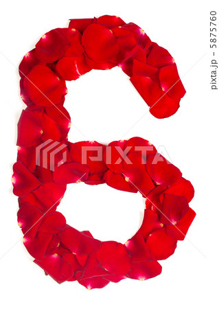 number 6 made from red petals rose on white number 6 made from red petals rose on white 5875760